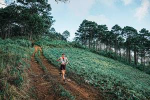 BIB: 
                            <button type="button" onclick="openModal(25653890)" class="btn btn-primary btn-sm float-right btn-popup" data-toggle="modal" data-target=".modal-high-quality">
                        <i class="fas fa-shopping-cart"></i> Add to Cart
                    </button>
                                            <button type="button" onclick="isThisMe(25653890, true)" class="btn btn-success btn-sm float-right btn-popup btn-isme hidden" data-toggle="tooltip" data-placement="bottom" title="นี่คือรูปของคุณใช่ไหม คลิกที่นี่เพื่อเอาเข้าอัลบั้ม">
                        <i class="fas fa-plus"></i> Add to album
                    </button>
                    <button type="button" onclick="isThisMe(25653890, false)" class="btn btn-warning btn-sm float-right btn-popup btn-isnotme hidden">
                        <i class="fas fa-ban"></i> Remove from album
                    </button>